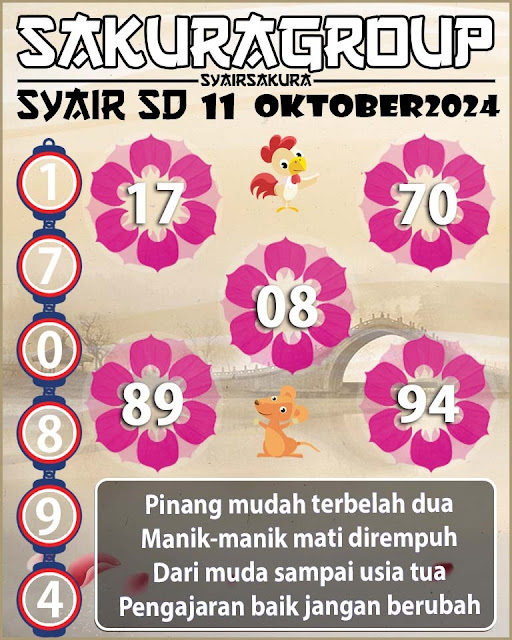 SYAIR SDY VIP